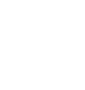 VBLG Logo Icon